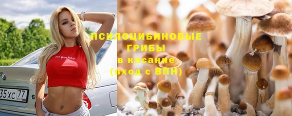 мет Баксан