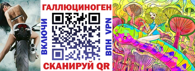 Псилоцибиновые грибы Psilocybe  Иркутск 